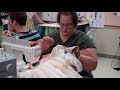 Click here to watch this video Leading Ladies: Costume Designer