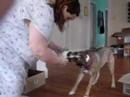 Escape from bed: Caught on Camera Escape from bed: Caught on Camera