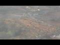 Landing and taxiing at Palma Airport, Majorca