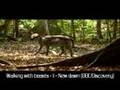 [FRENCH]Walking beasts 1-New Dawn(BBC) (Prehistoric Mammals)