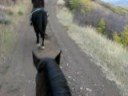 Horseback riding in Colorado
