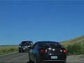 Bison Road Block - Yellowstone