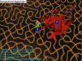videos de 135 sgs vs jad