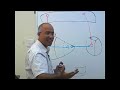USMLE Step 1 - Neuroanatomy Lecture - Basal Ganglia - Structure and Function 2/3