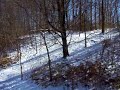 100_4713.mov 100_4713.mov