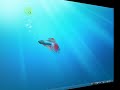 Mac Aero Theme For Windows XP