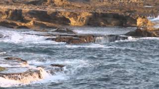  | موسوعة التراث الفلسطيني