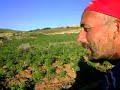 www.elbaeumberto.com Il Kif di Targuist www.elbaeumberto.com Il Kif di Targuist