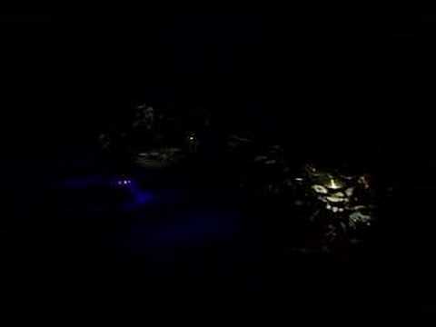 Wolfgang - From Acoustica concert For those who want to download the full concert vid click the links below: http://www.divshare.com/download/10275044-9a4 http://www.di...