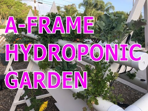Diy Best Vertical A Frame Hydroponic Garden Farm Build On Grow
