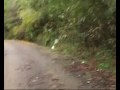 Fastest Way to Burn Calories Fastest Way to Burn Calories