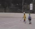 Campeonato Rhinox 2007 FUSION \"sub 12 - 14\"