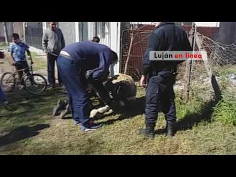2IVmV85cenM