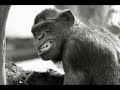 a1s - PGL-skreach - Parodie #2