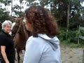 Paardrijles Paardrijles