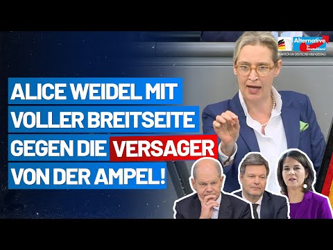 Dr. Alice Weidel – glimpse