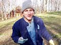 Colonial Coin Find