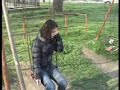 A Rózsa Szíve