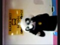 osset martial arts (kung fu panda)