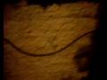 videos de Os ousados na cena (1)