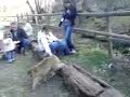 Vogel & Affenpark Eckenhagen Affen Zoo 2007 Vogel & Affenpark Eckenhagen Affen Zoo 2007
