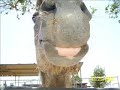 NNAAAYYY PPTHHH! I'm A Horsy! - Ep 2: 