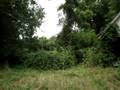 MOV03171.MPG