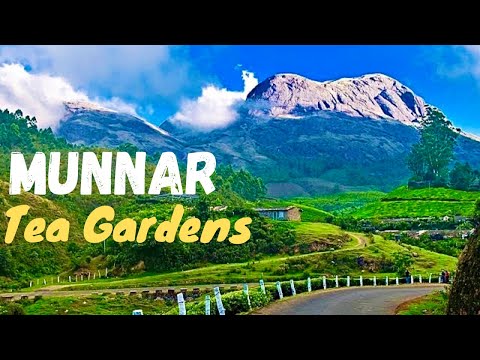 how to obtain duplicate driving license in kerala