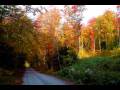 videos de Kady Malloy - Autumn Leaves