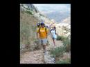 Taglit Birthright israel Shorashim