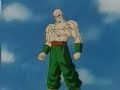 Dragonball Z - The Biggest Fight