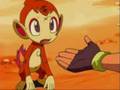 Chimchar Tribute