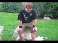 Rihanna Disturbia Parody - 