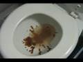 Rihanna Disturbia Parody - 