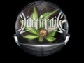 iluminatik - soru - la mire