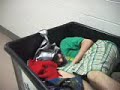The Search for Osama Bin Ladin