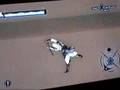 Assassins creed funny bug