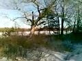 pubnico lake