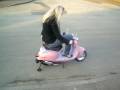 videos de Go Go Tracey ...............