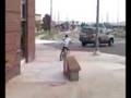 Video from My Phone (1011081341.3g2)