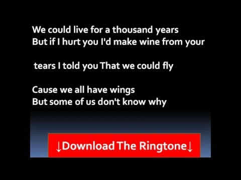 Watch 'Never Tear Us Apart Lyrics'