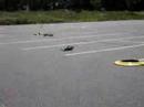 Video of Racing