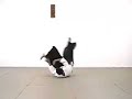 Aikido - Ushiro Kaiten Ukemi I Aikido - Ushiro Kaiten Ukemi I