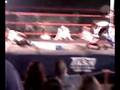 videos de ladder match 2