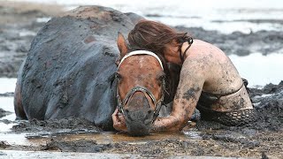 For 3 Hours Woman Stays With Trapped Horse – Then A Farmer Does Everything He Can To Save It's Lif by Did You Know Animals?