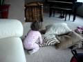 Addie being Silling
