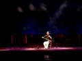 Erhu Performance
