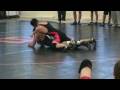 videos de piggy's match 2