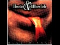 Hootie And The Blowfish - Use Me - Blue Mirage