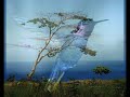 Check this video out -- The New Human http://bit.ly/PagUo